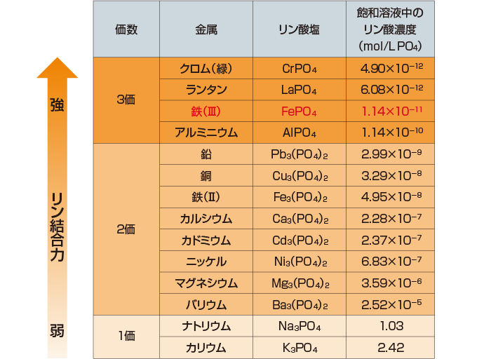 各種金属のリン結合力の比較